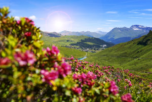 arosa-lenzerheide-sommer